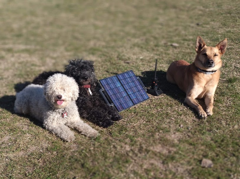 Astro, Kivuli y Felipe